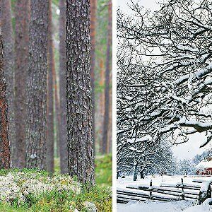 Parkettboden Auslauf 01