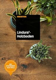 PDF-Prospekt download